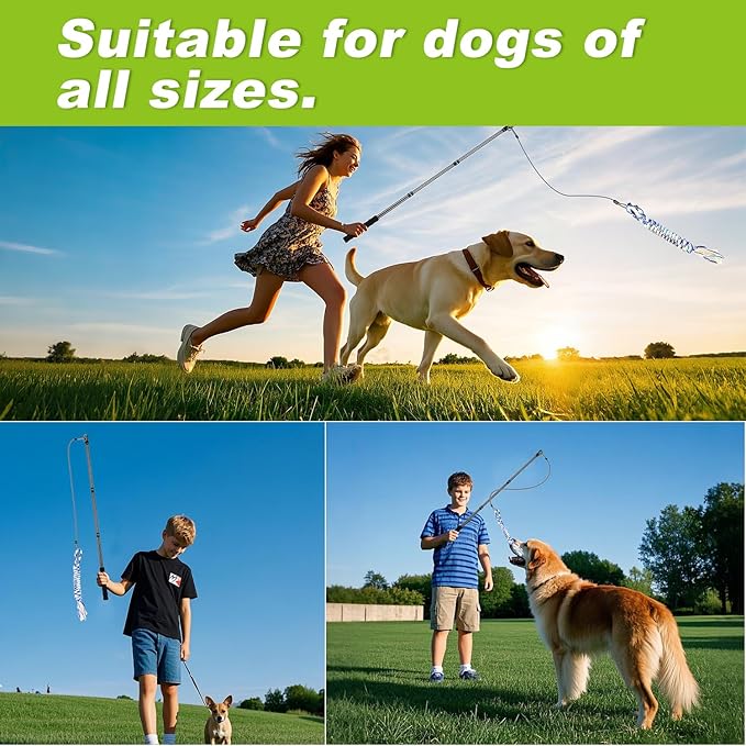 Doben Carbon Fiber Dog Flirt Pole - 40In Telescopic 0.23LBS with 2 Toys & Ropes